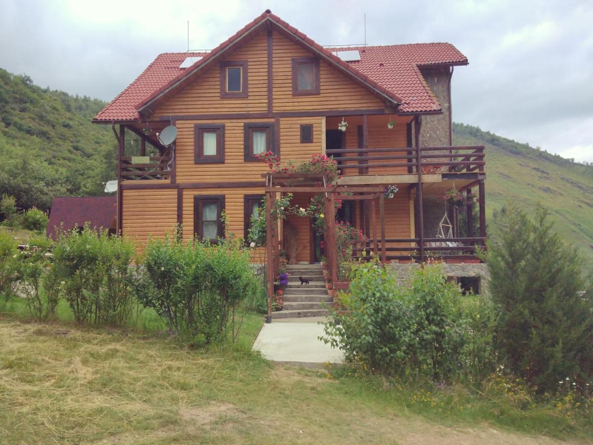 Cabana Soarelui Retezat Nucsoara  Eksteriør billede